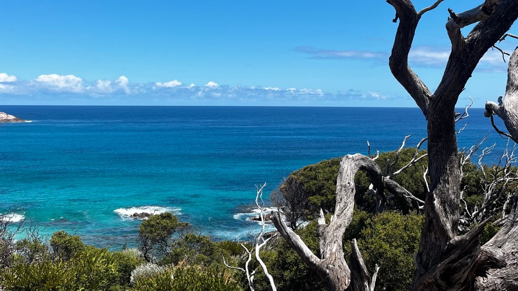 Hanna, Ella, and A Great&nbsp;Road-trip