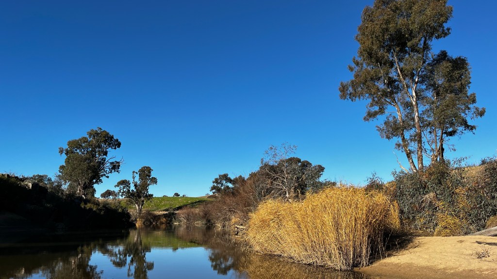 Falling in love and finding&nbsp;purpose